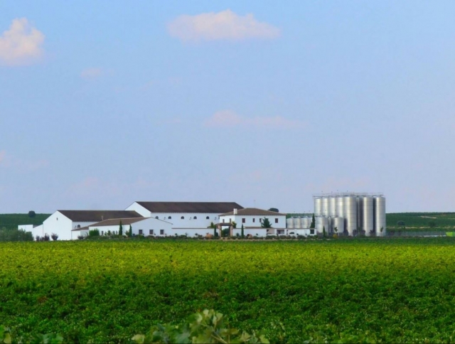 Bodegas VQ